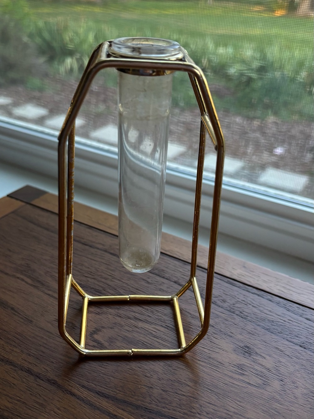 Gold Geometric Single-Stem Vase with Clear Glass Tube